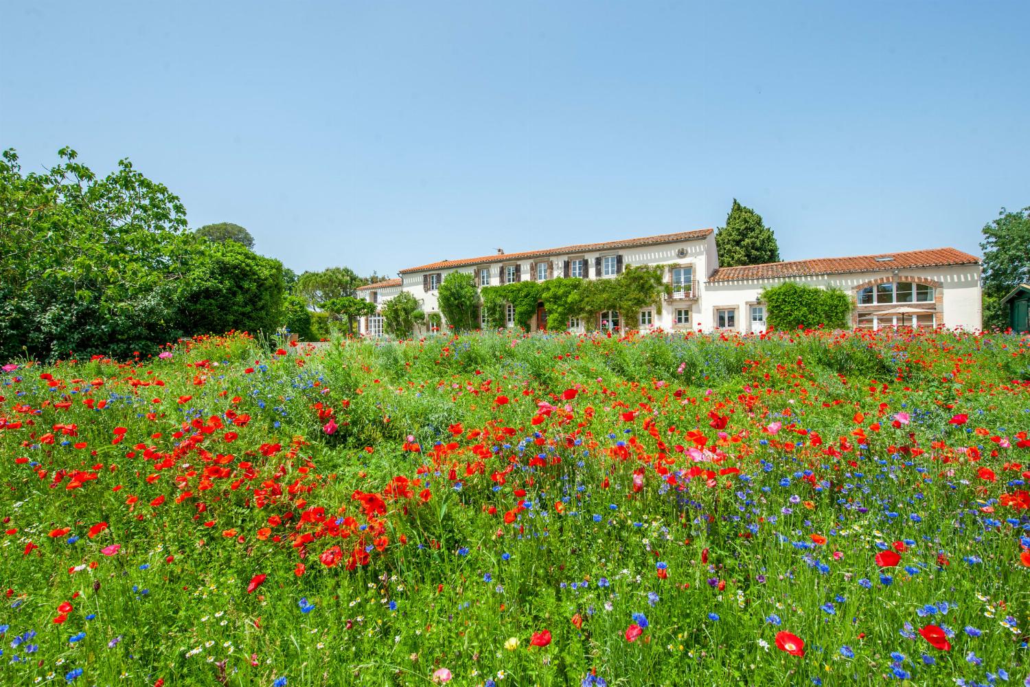 Holiday villa in the South of France