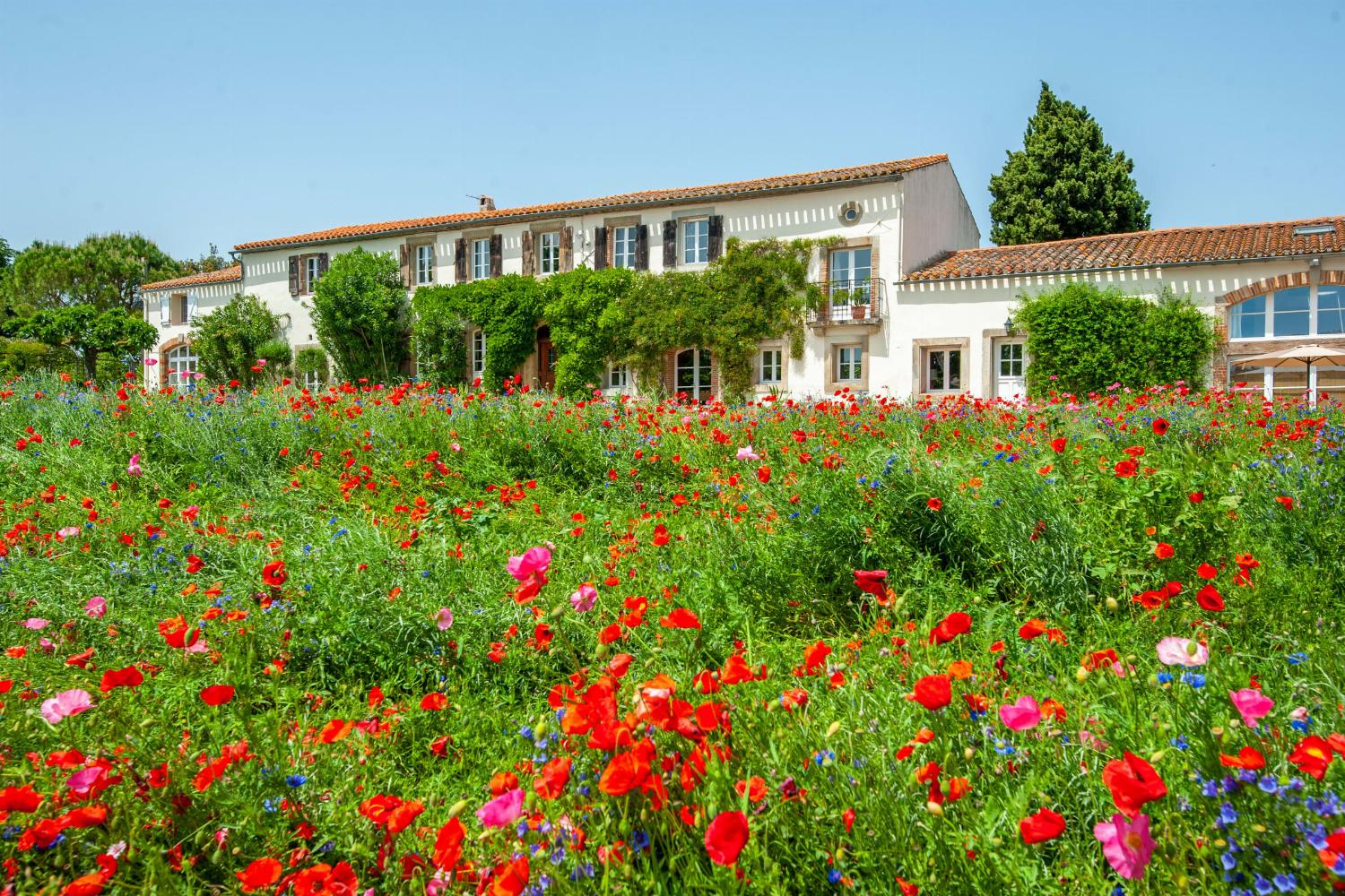 Holiday villa in the South of France