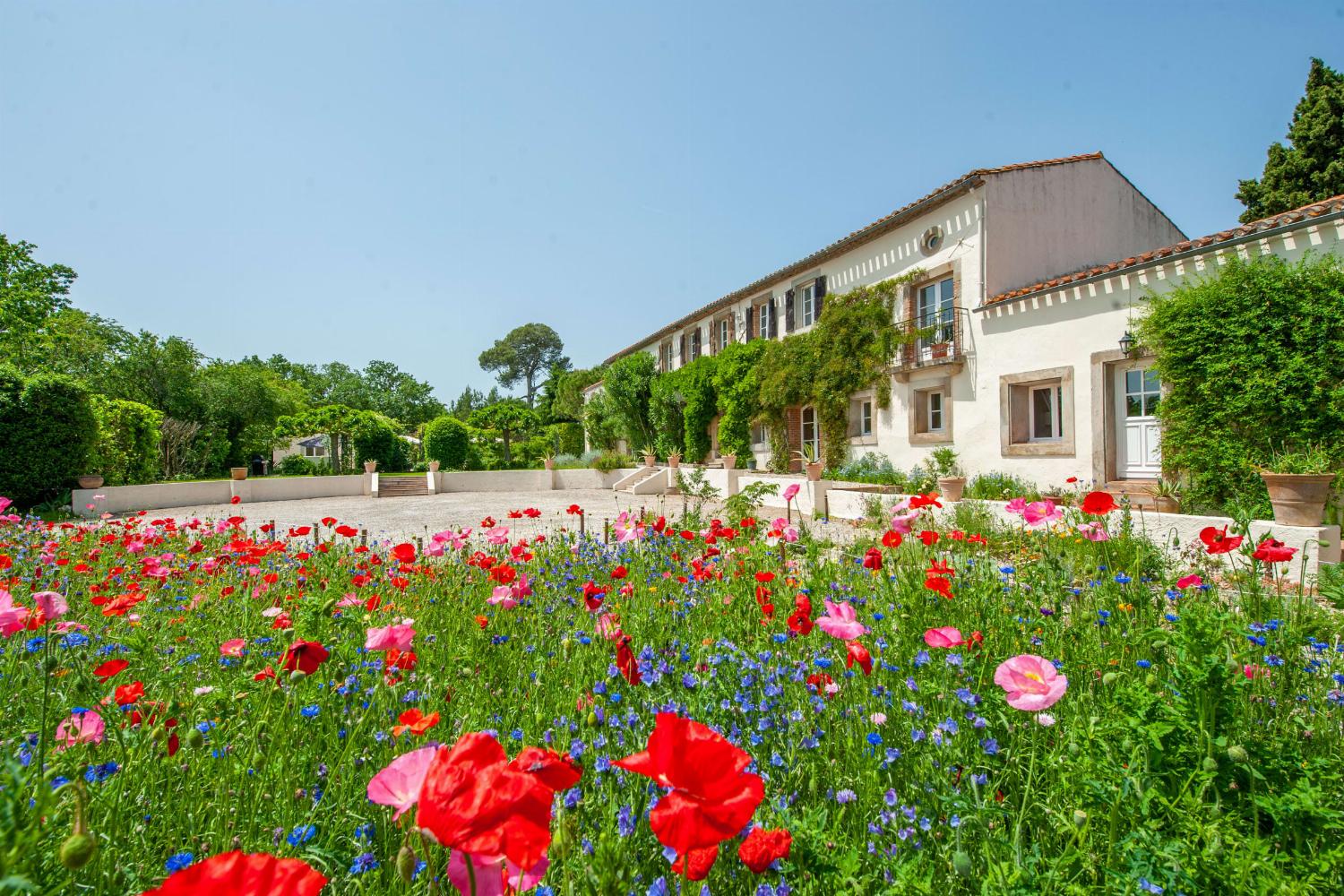 Holiday villa in the South of France