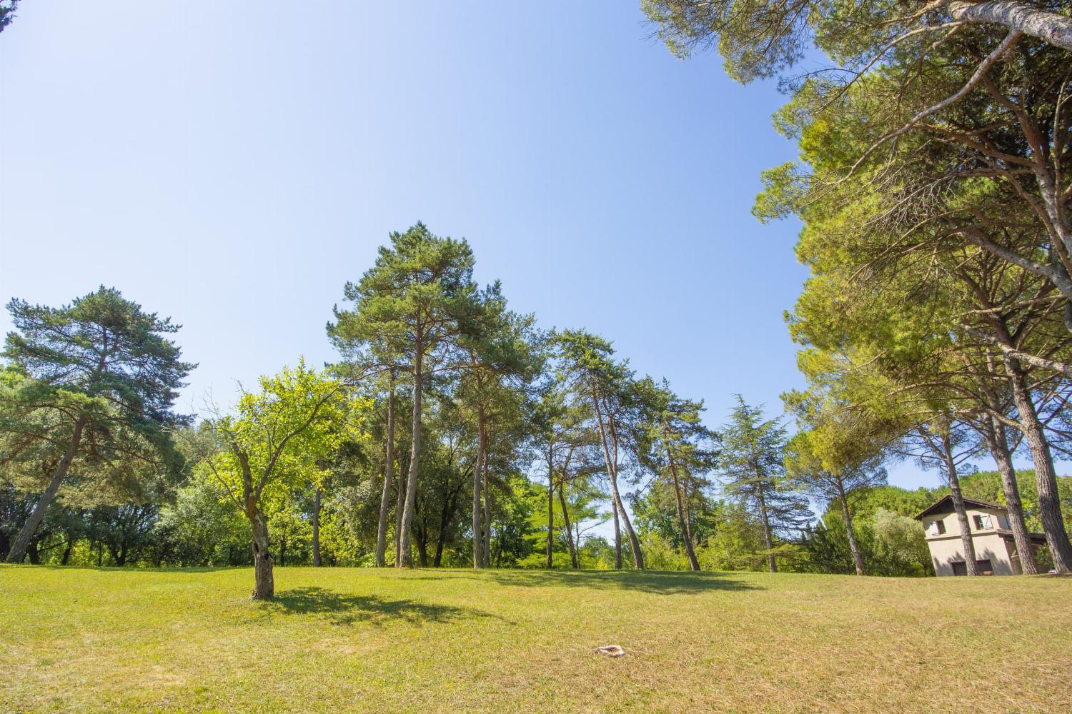 Garden in France