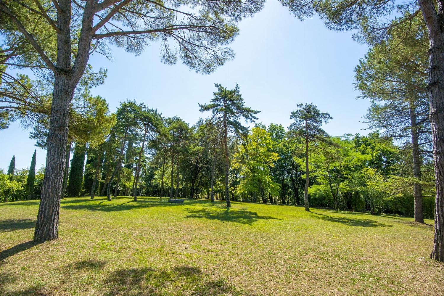 Garden in France