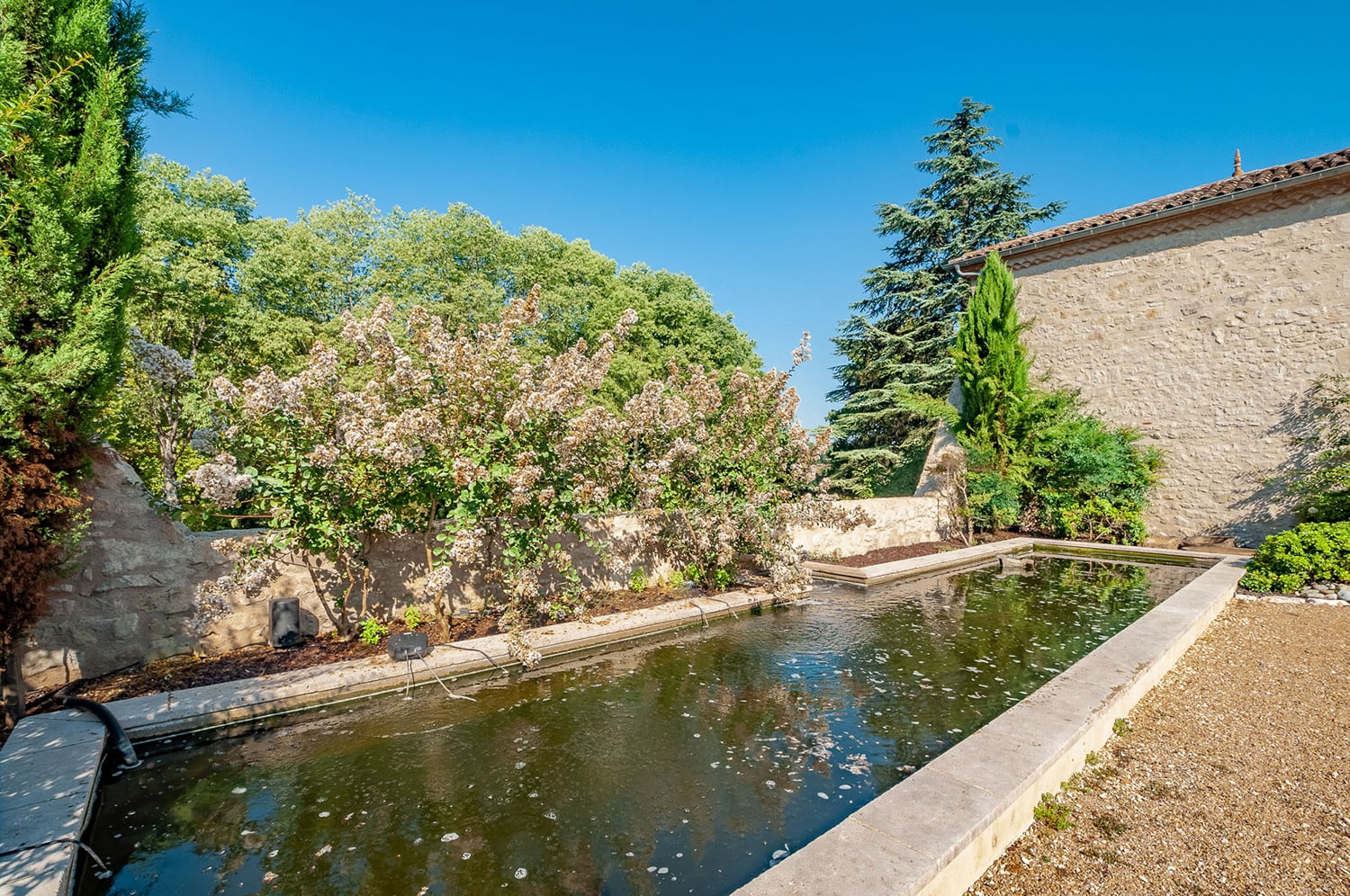 Pond Pond