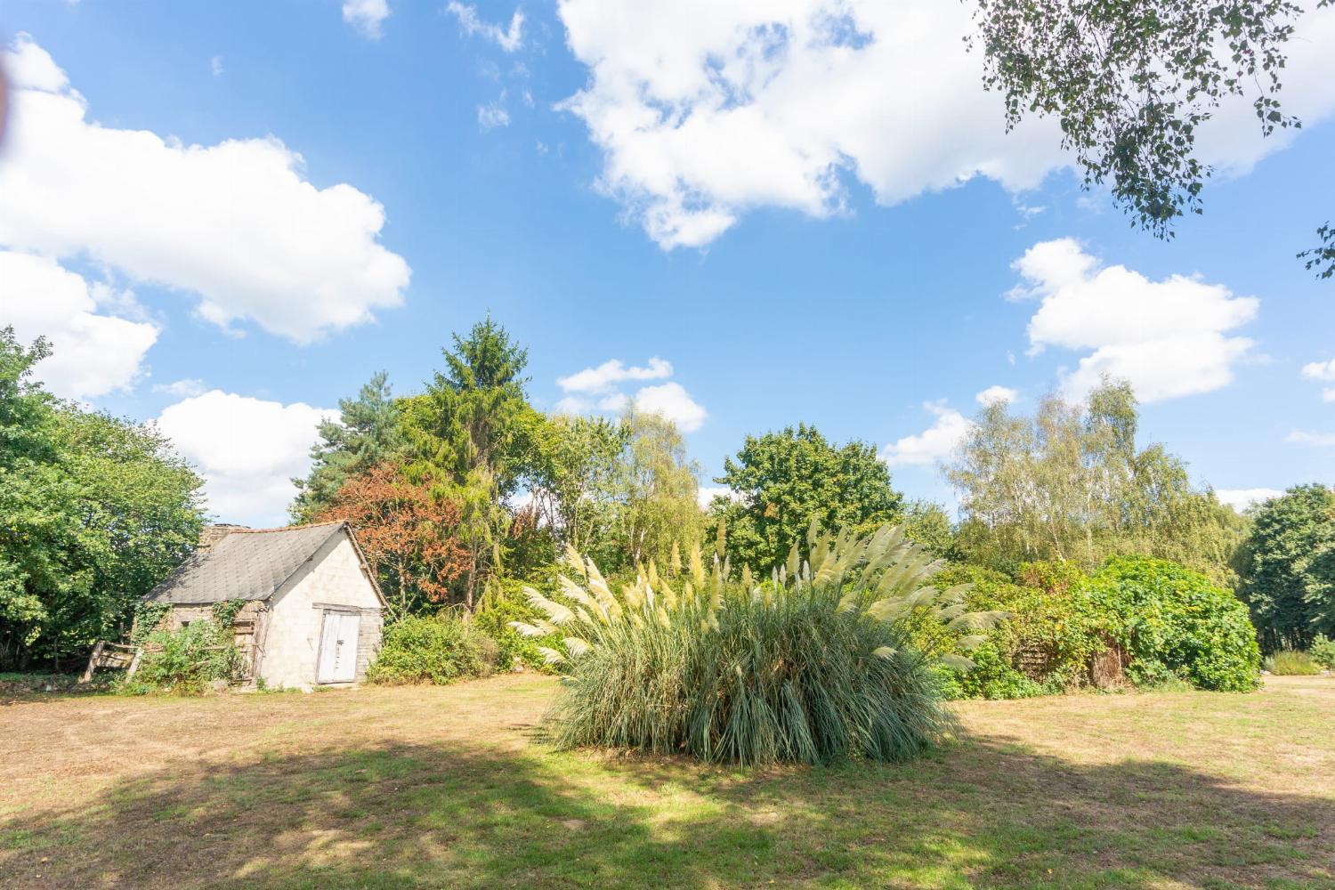 Garden in France