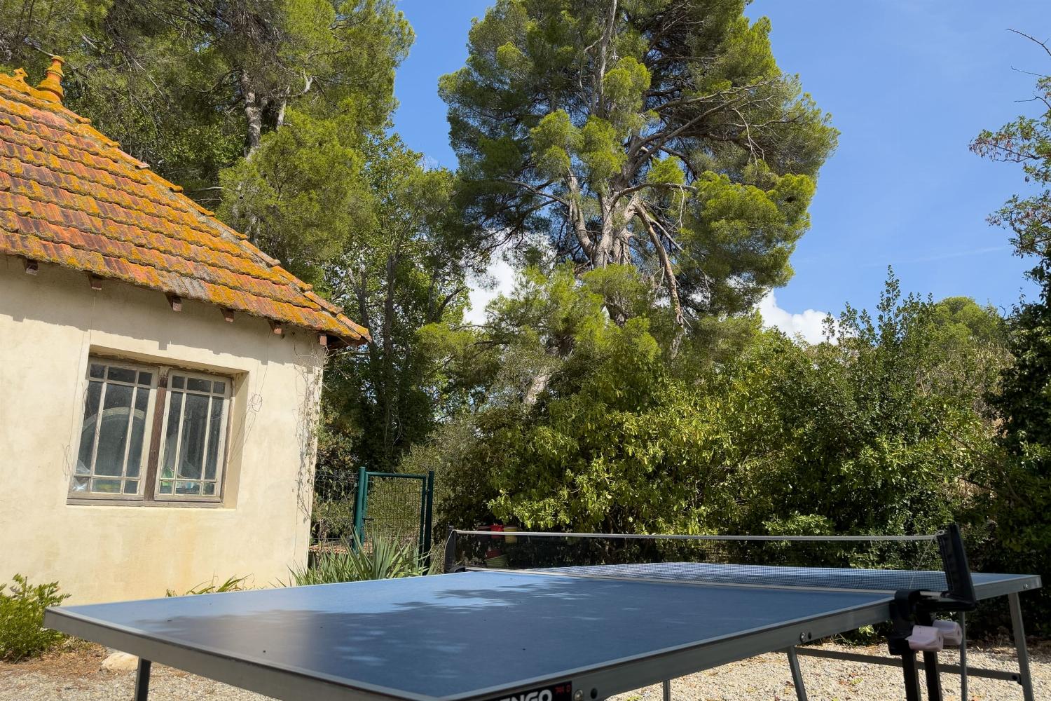 Table tennis