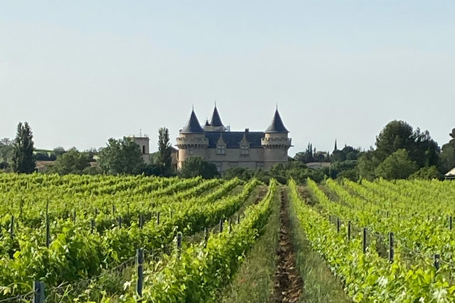Château in the village