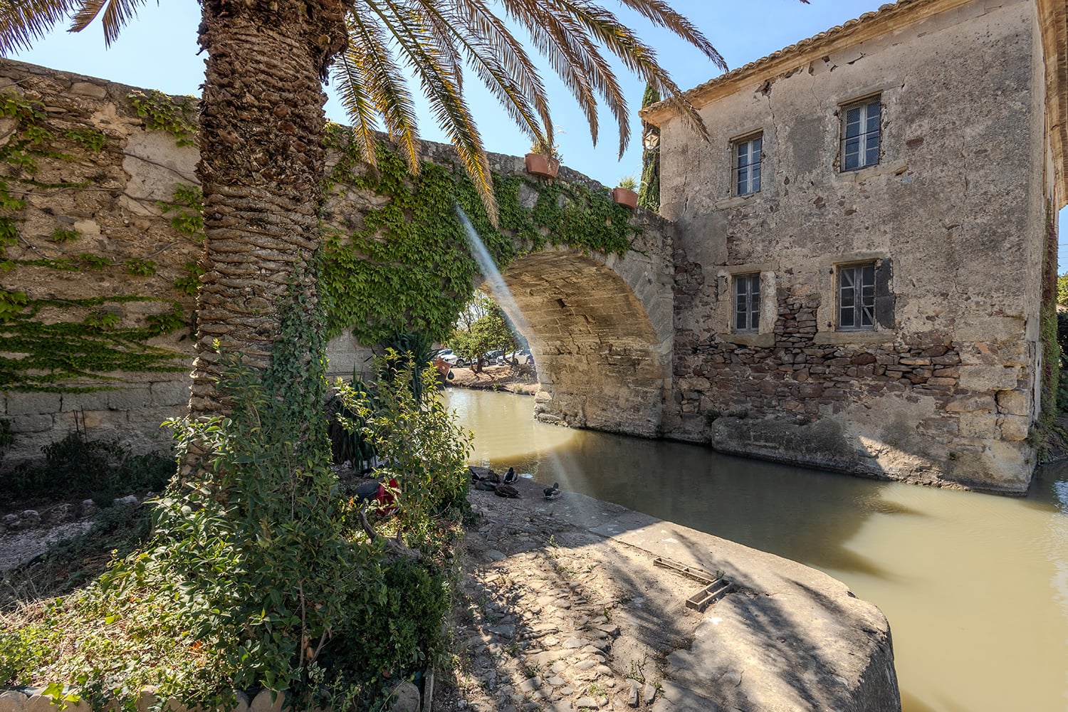 Le Somail