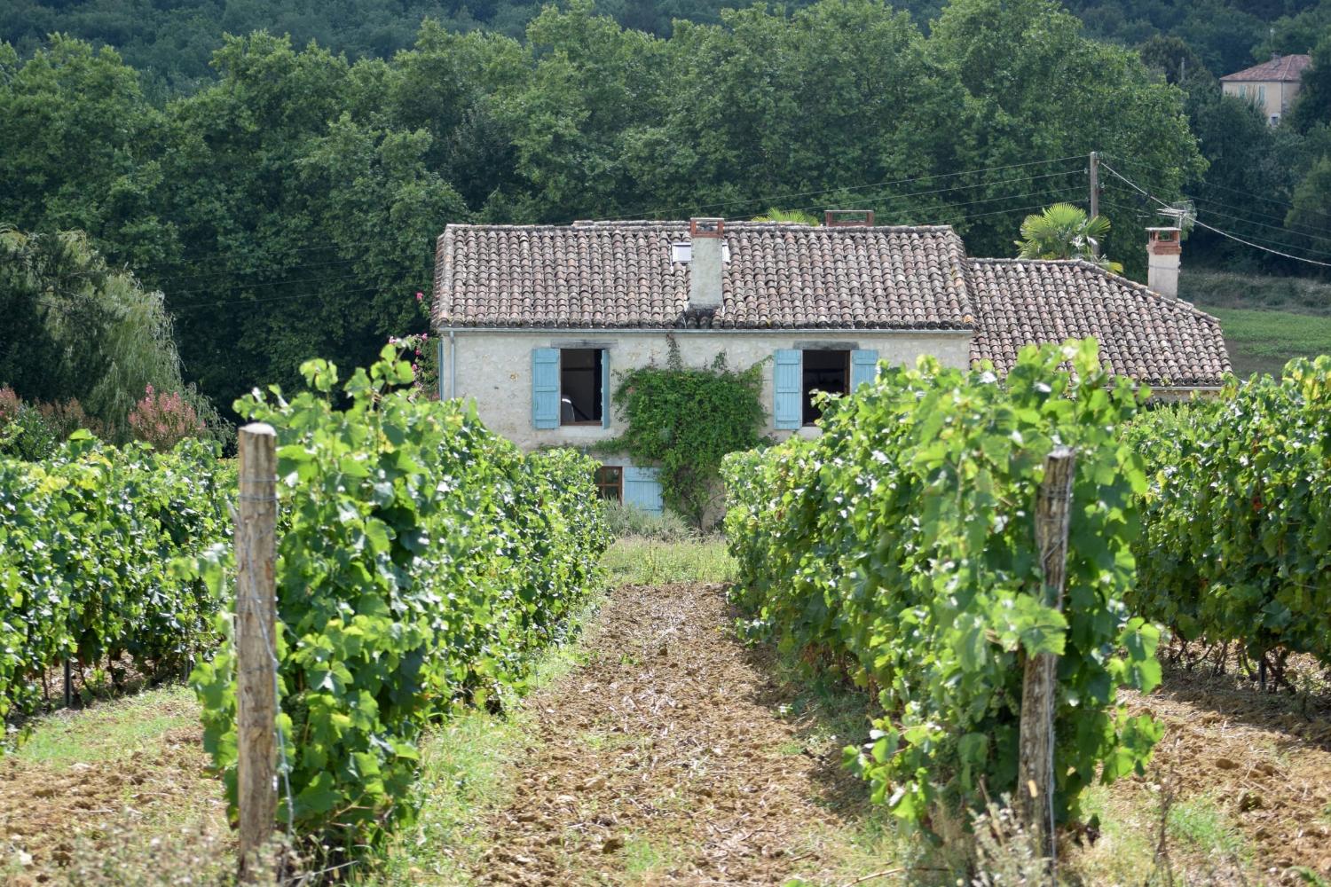 Holiday home in South West France