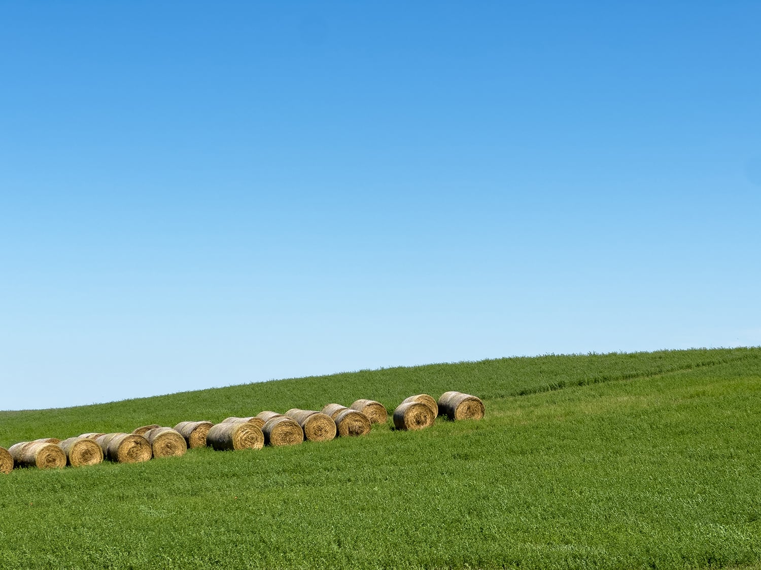 Surrounding French countryside