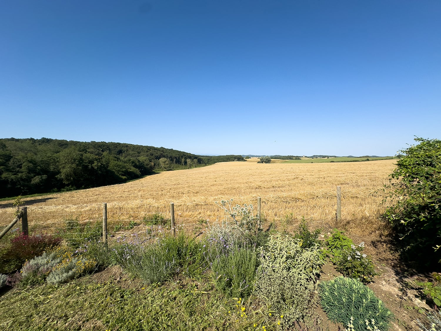 Views on the surrounding meadows and fields