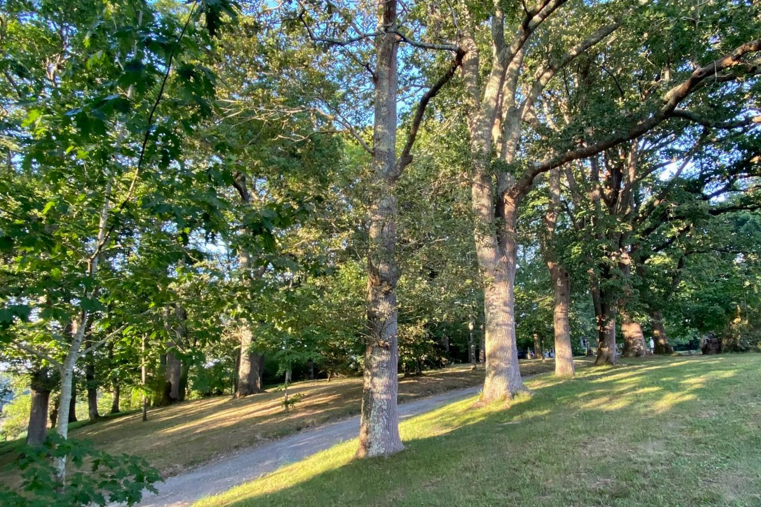Garden in France