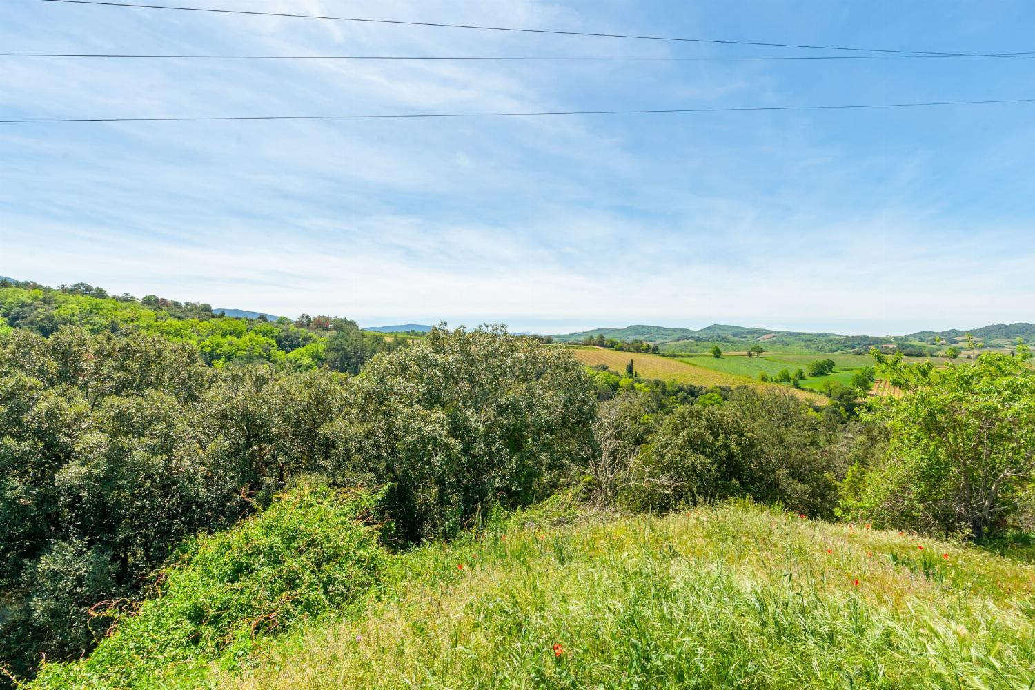 View in South of France