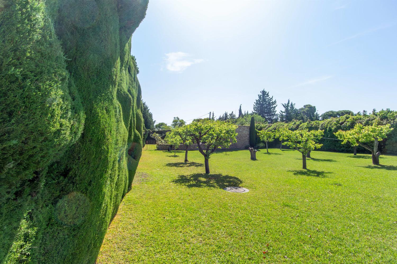 Garden in France