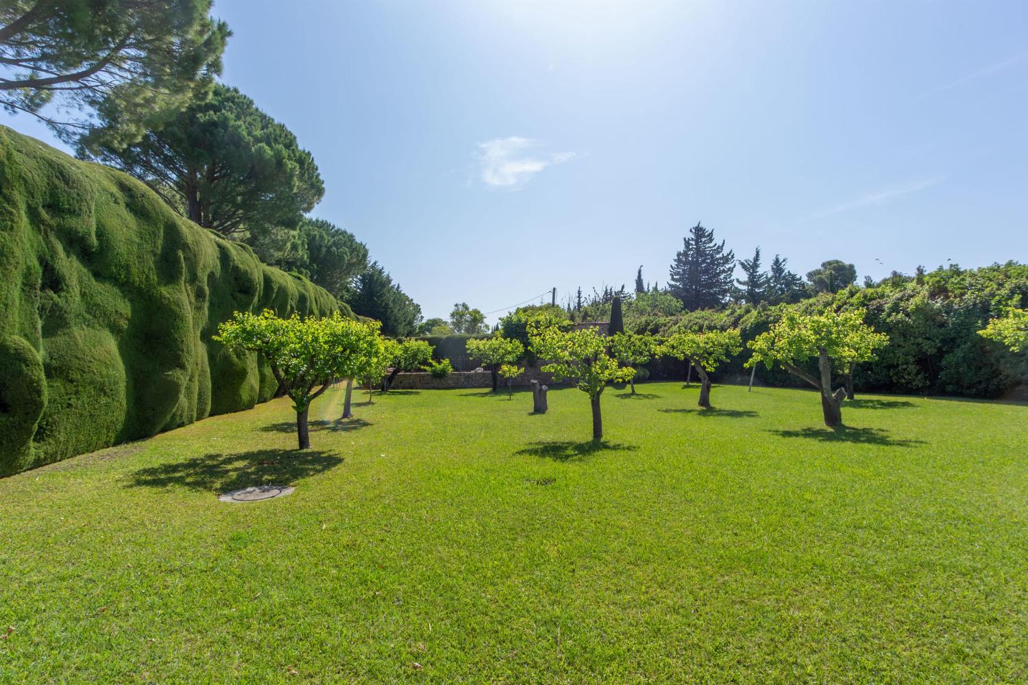 Garden in France
