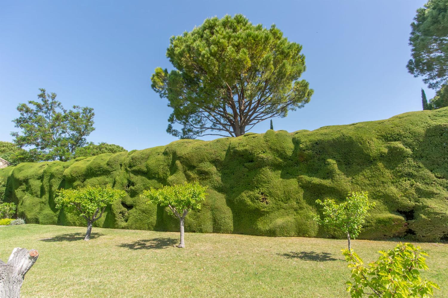 Garden in France