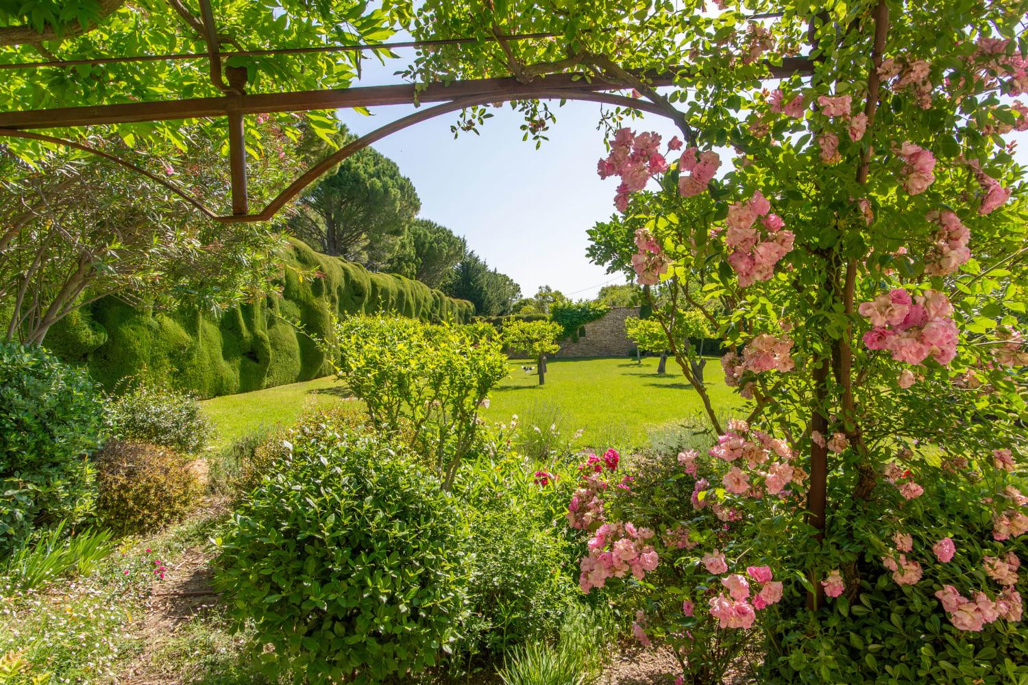 Garden in France