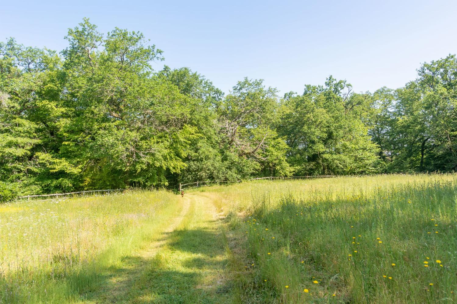 Garden | Holiday home in Dordogne
