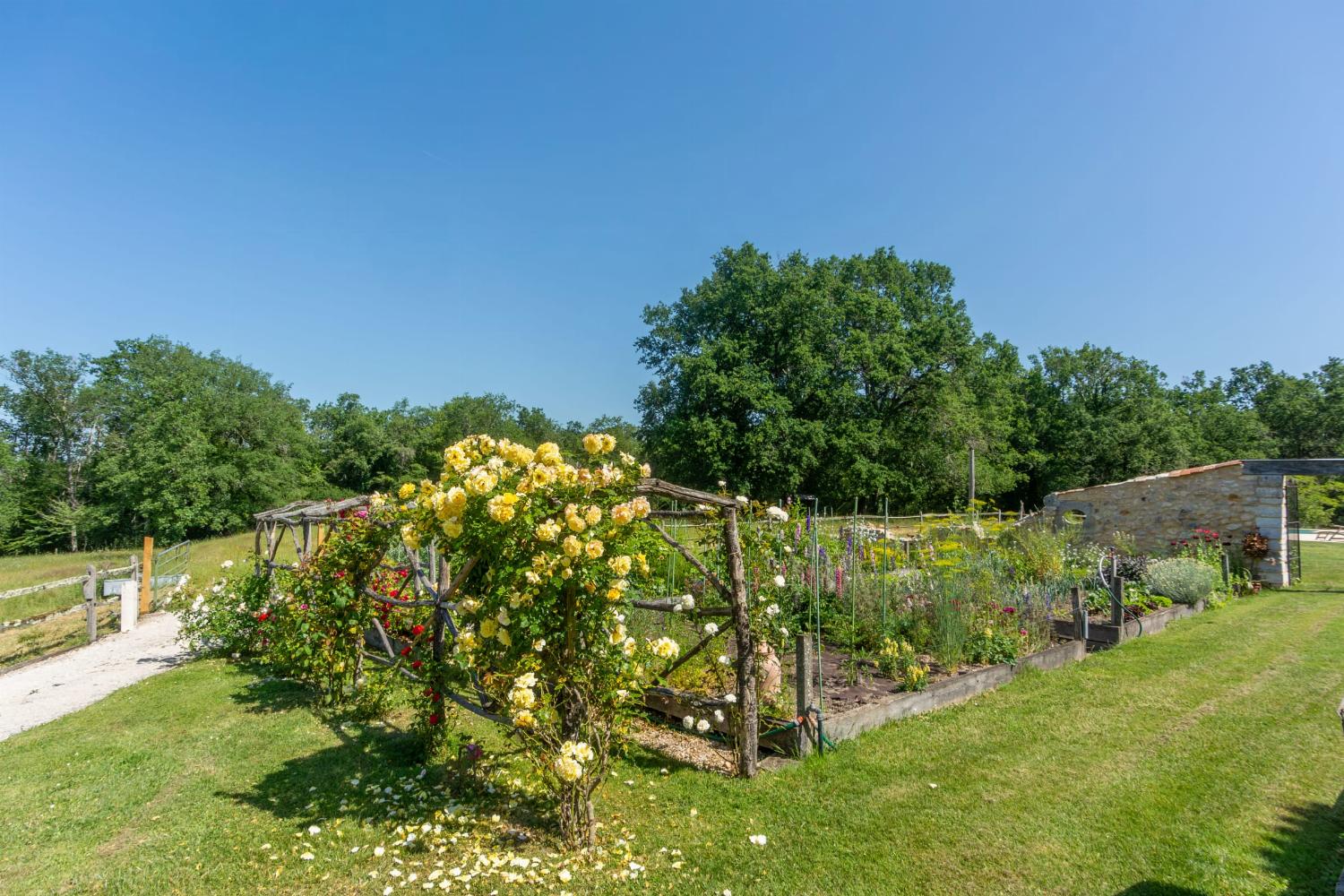 Garden | Holiday home in Dordogne