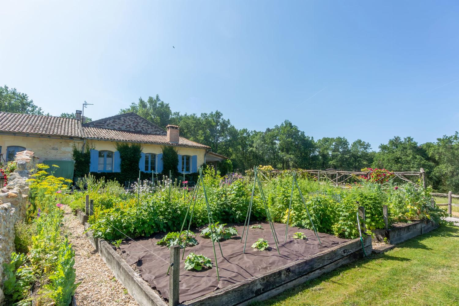 Garden | Holiday home in Dordogne