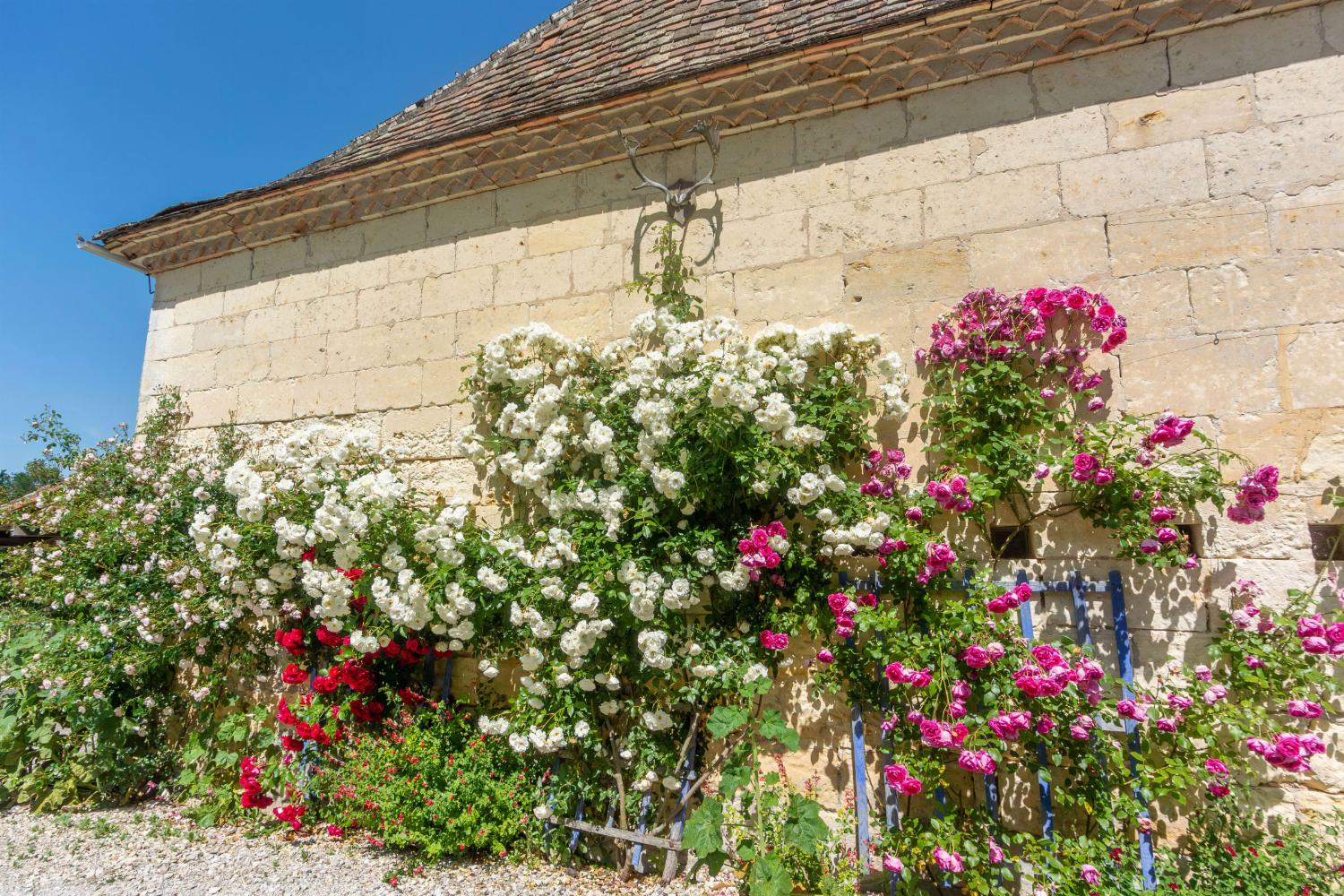 Holiday home in Dordogne