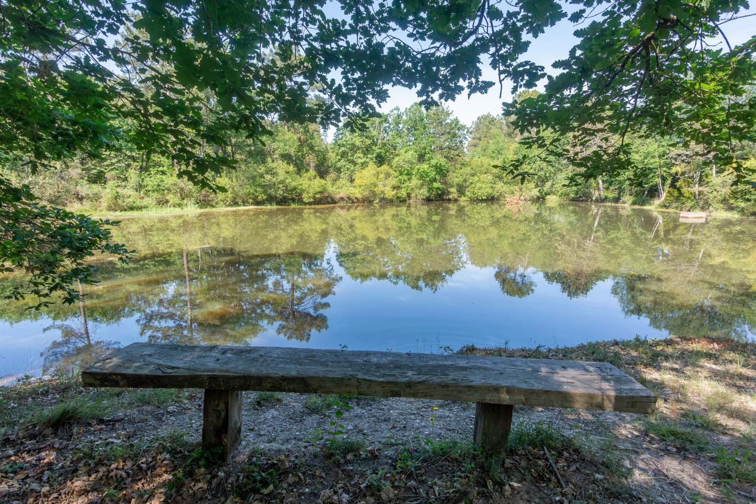 Lake