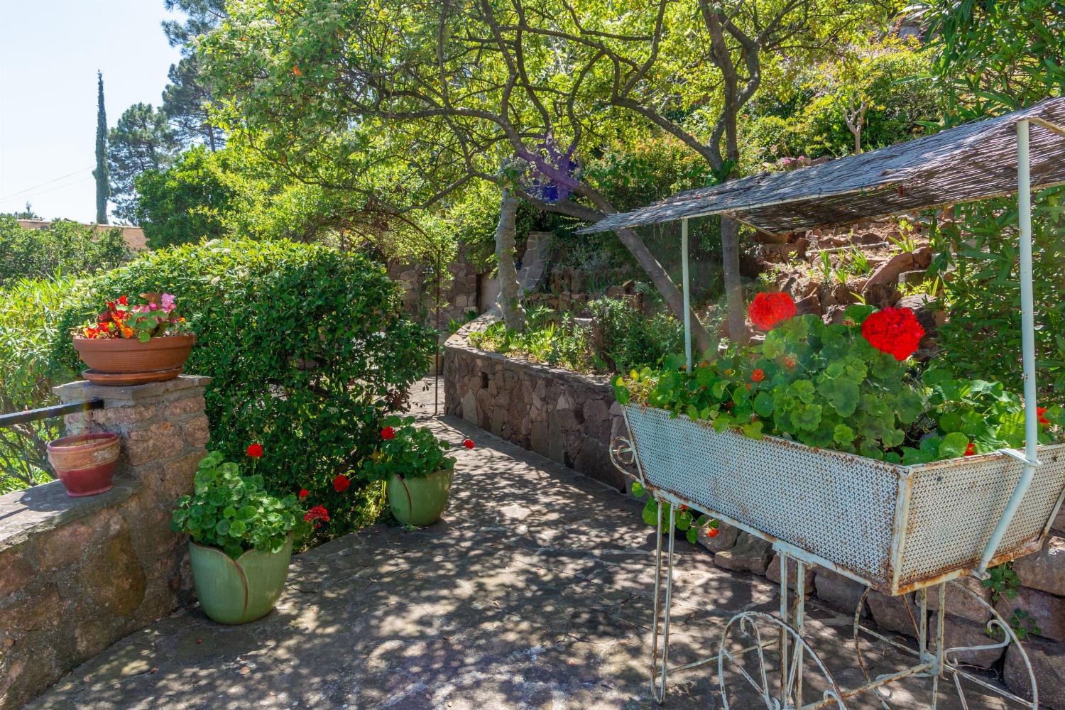 Garden | Holiday villa in Provence