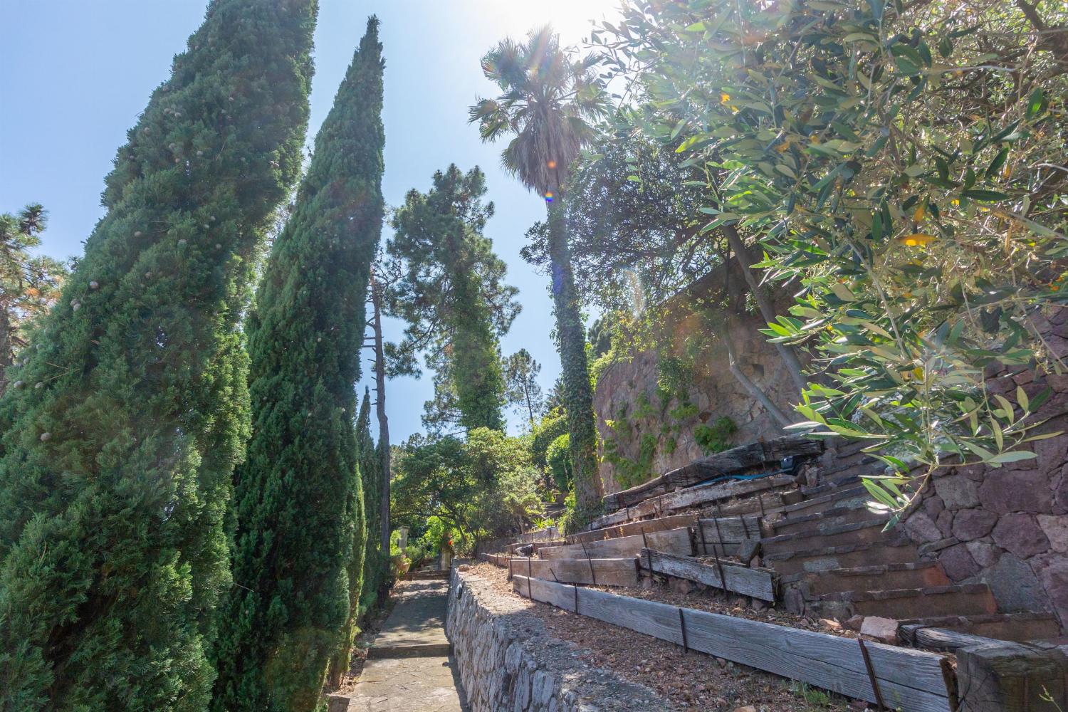Garden | Holiday villa in Provence