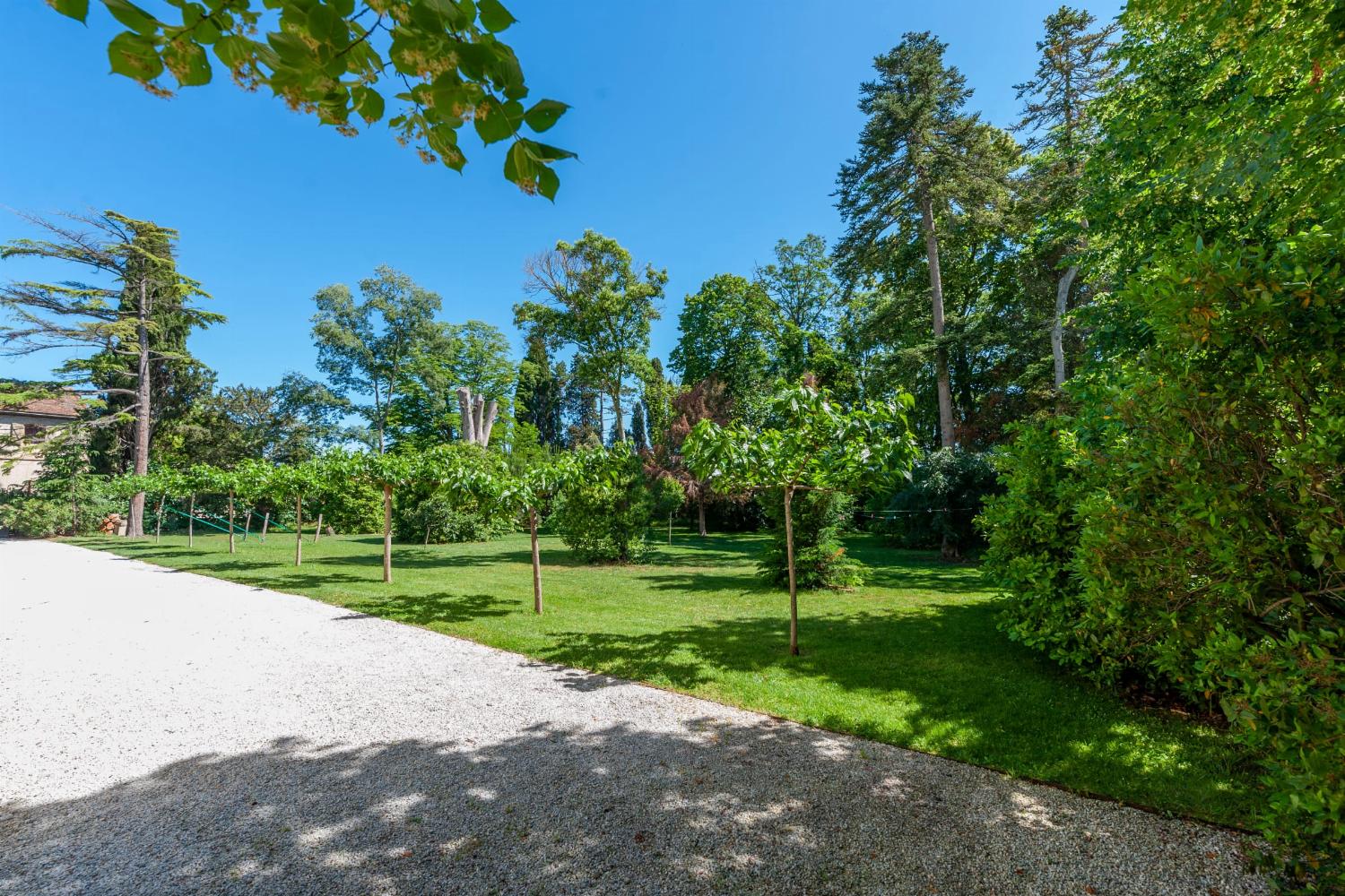 Garden in France
