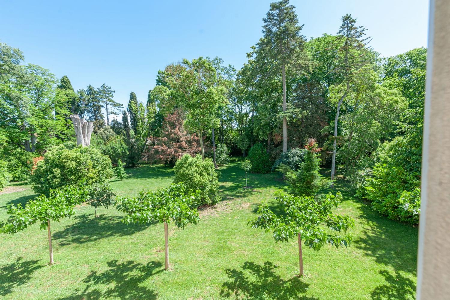 View from window