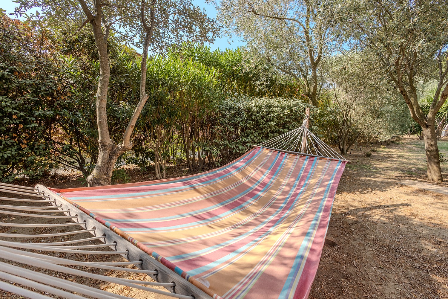Hammock