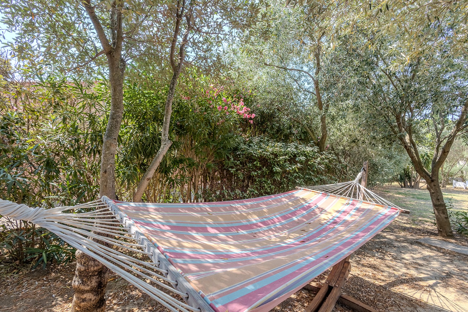 Hammock Hammock