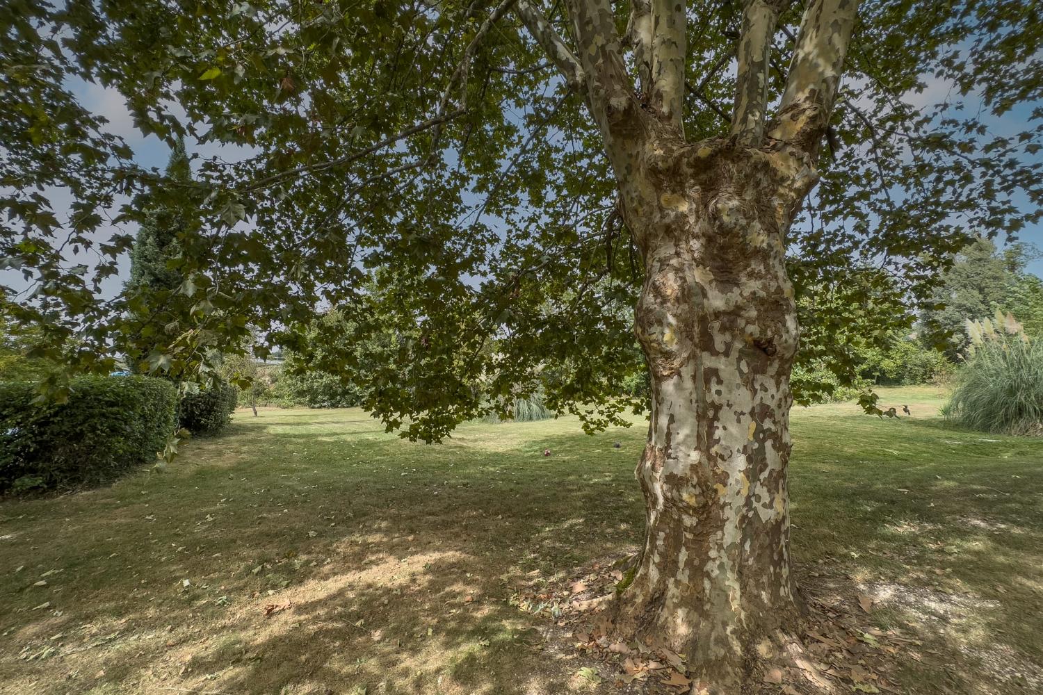 Garden | Holiday home in Tarn-en-Garonne
