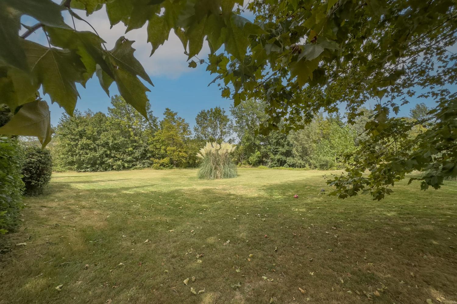 Garden | Holiday home in Tarn-en-Garonne