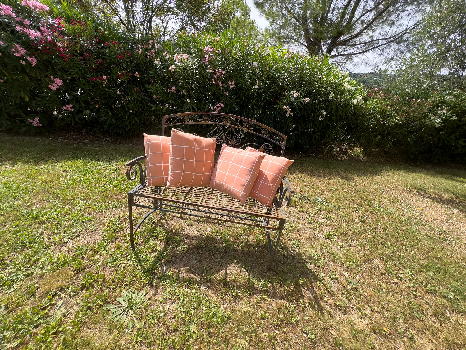 Lawned garden