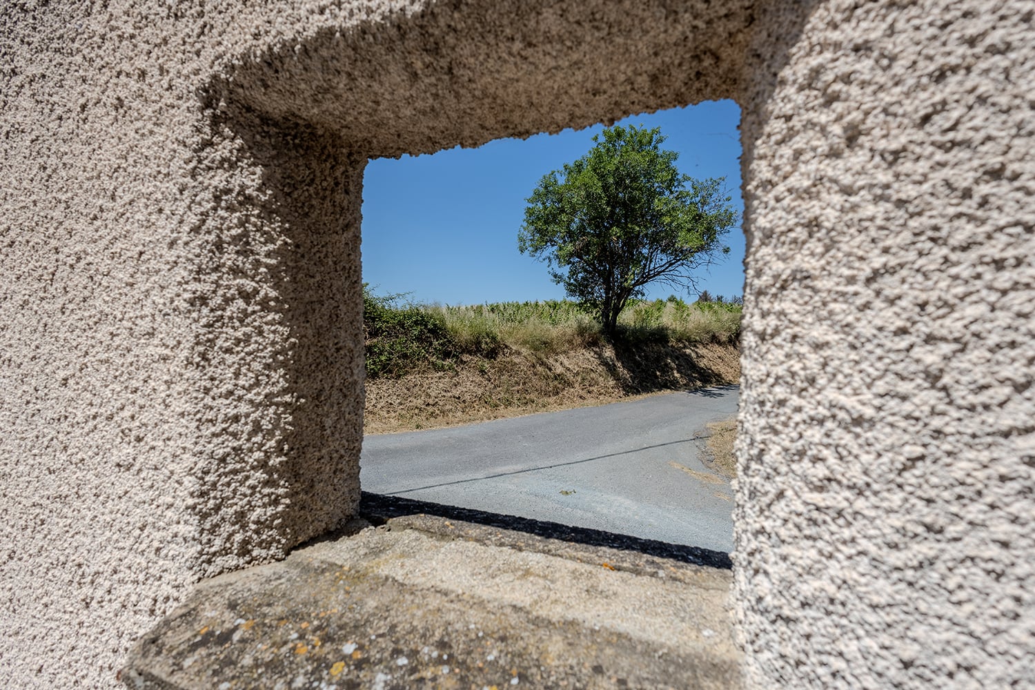 Countryside view