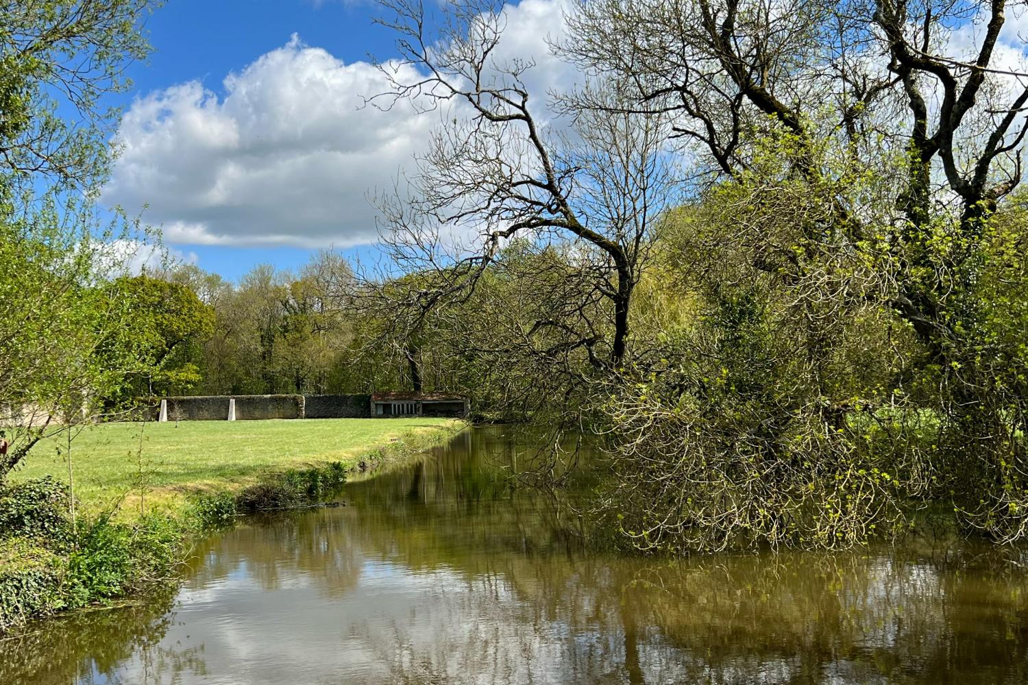 Pond