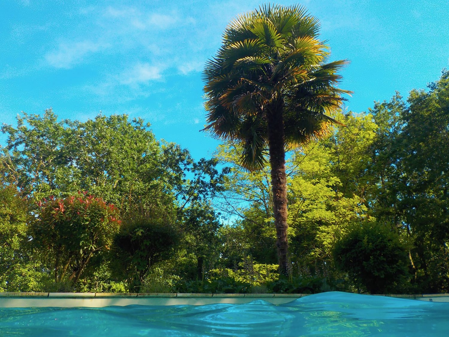 Private heated pool