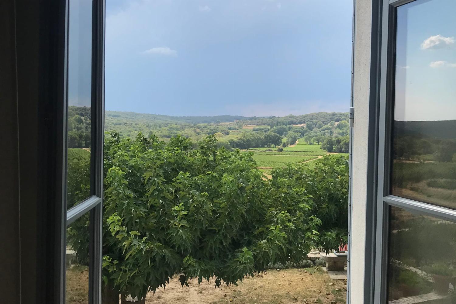 View from window