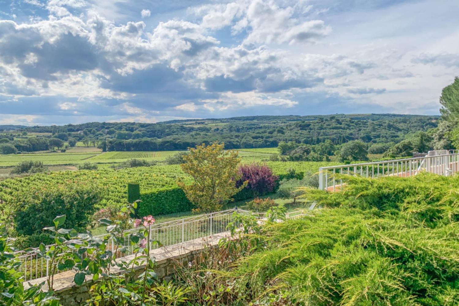 View from garden
