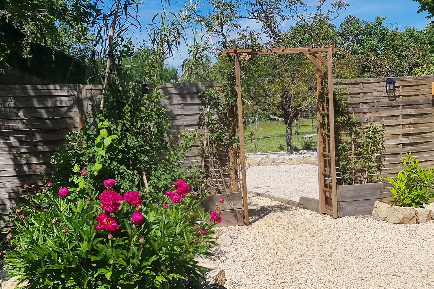Garden