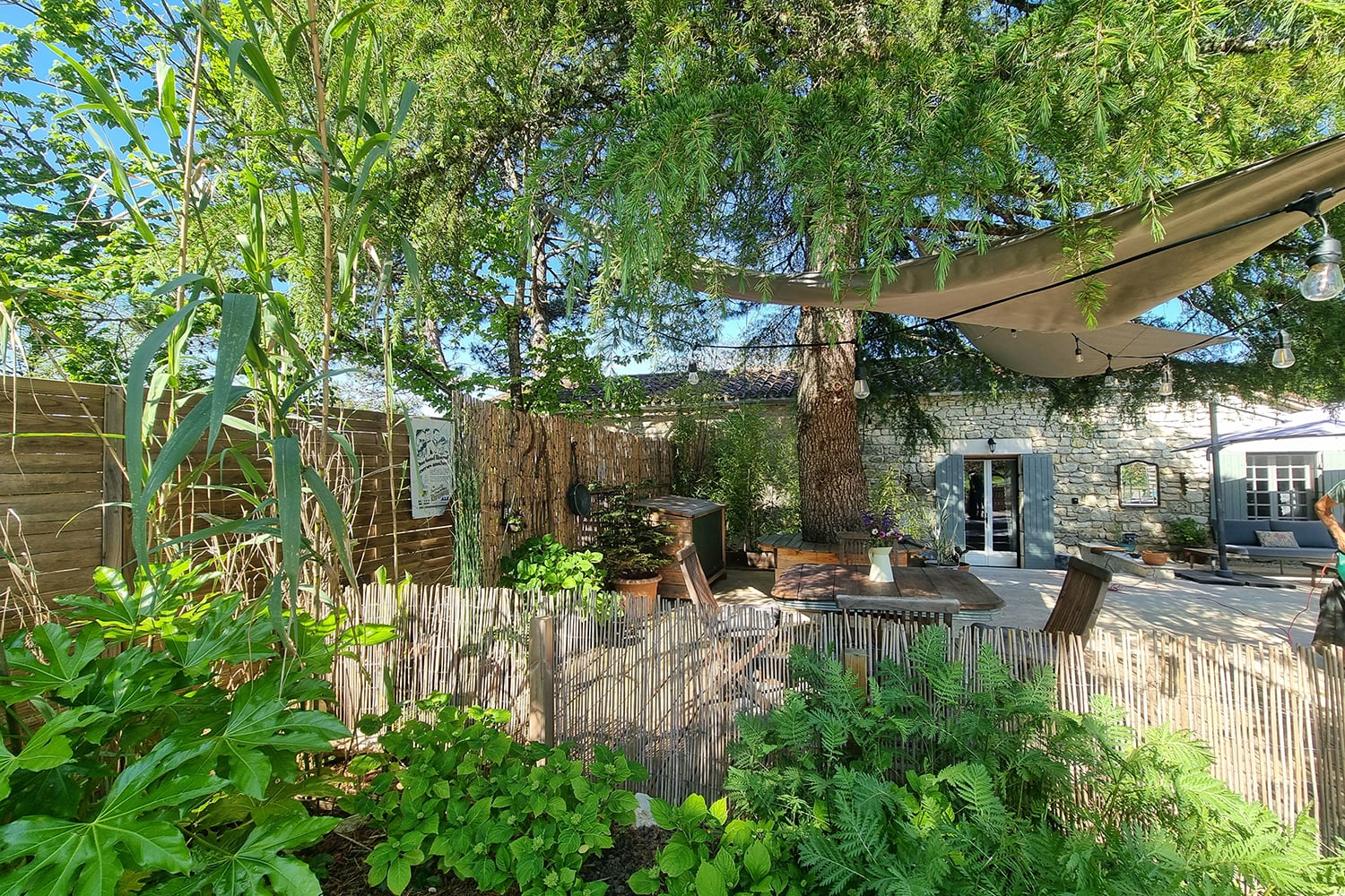 Garden
