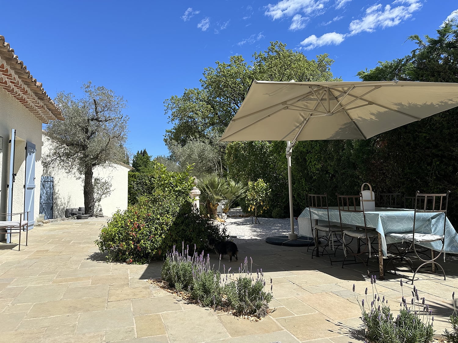 Terrace