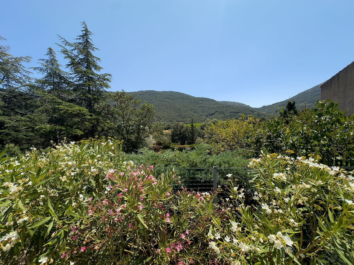 View from pool terrace