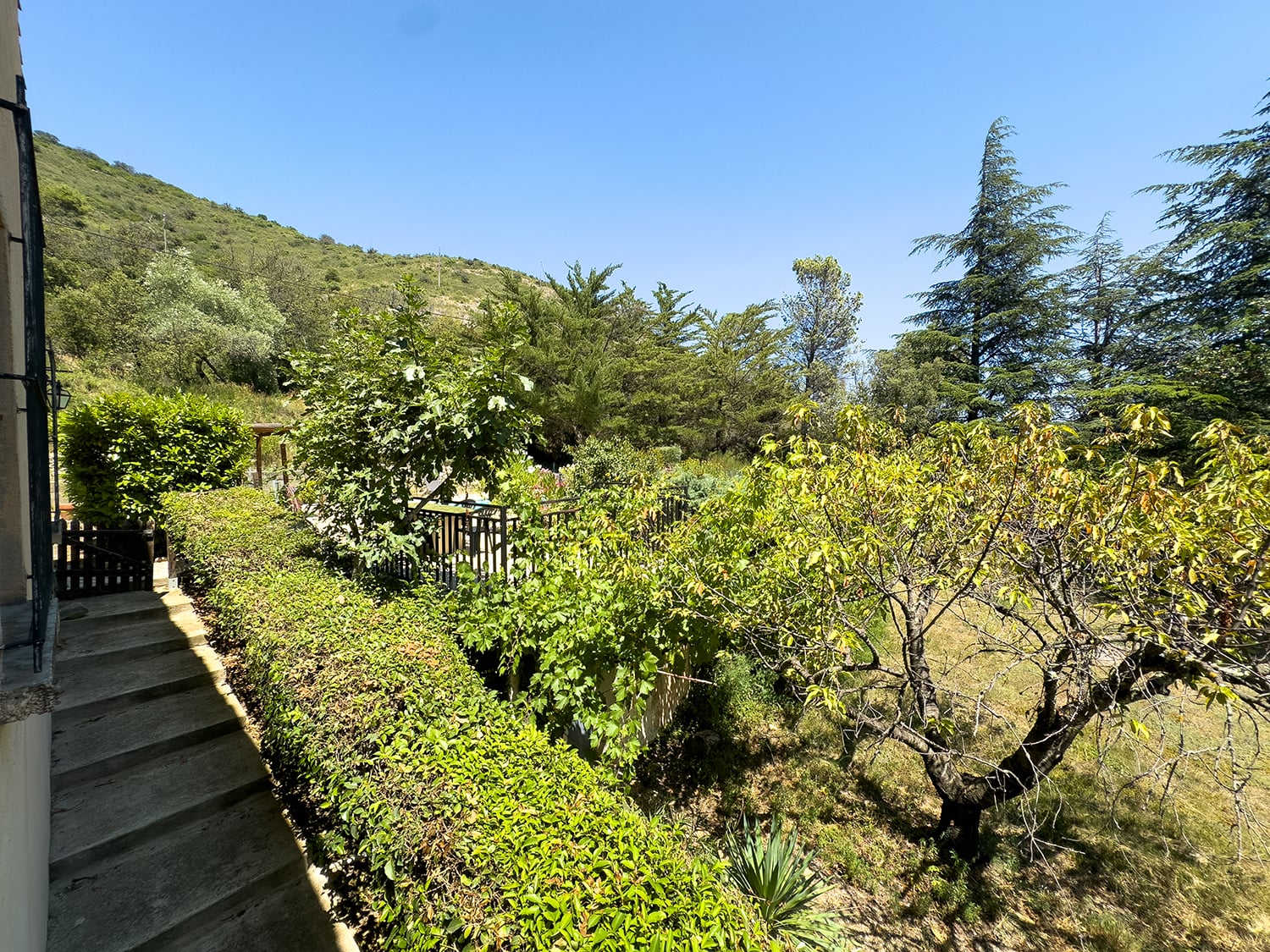 View from window
