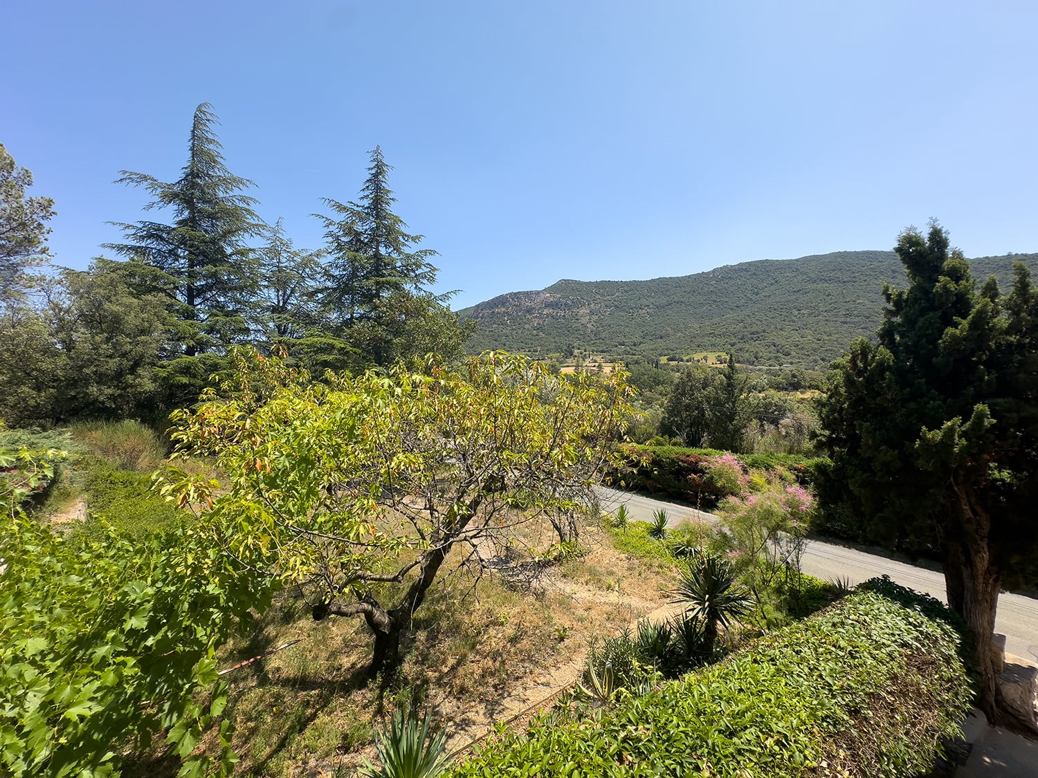 View from window