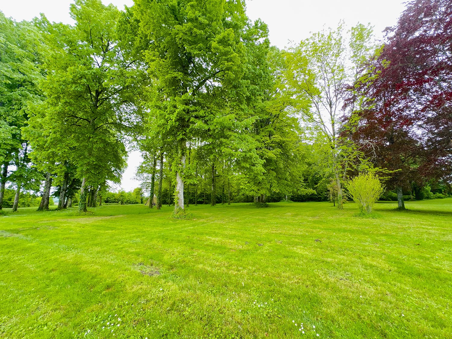 Lawned garden