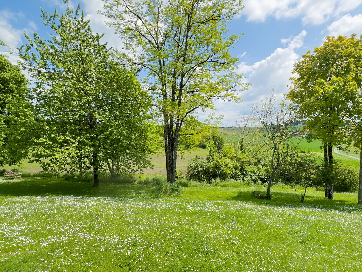 Garden in France