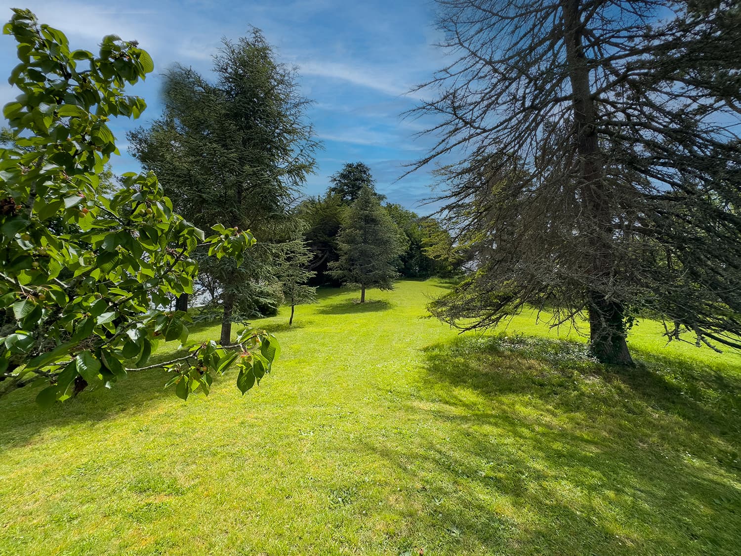 Château garden