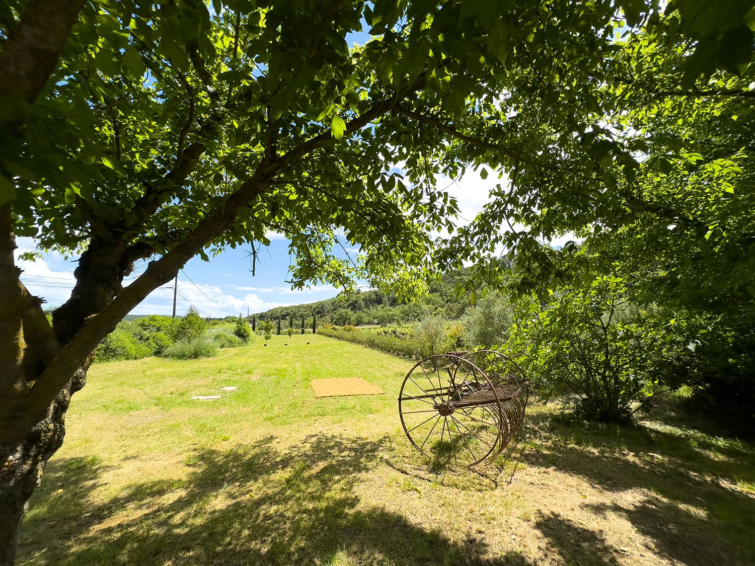 Garden in France
