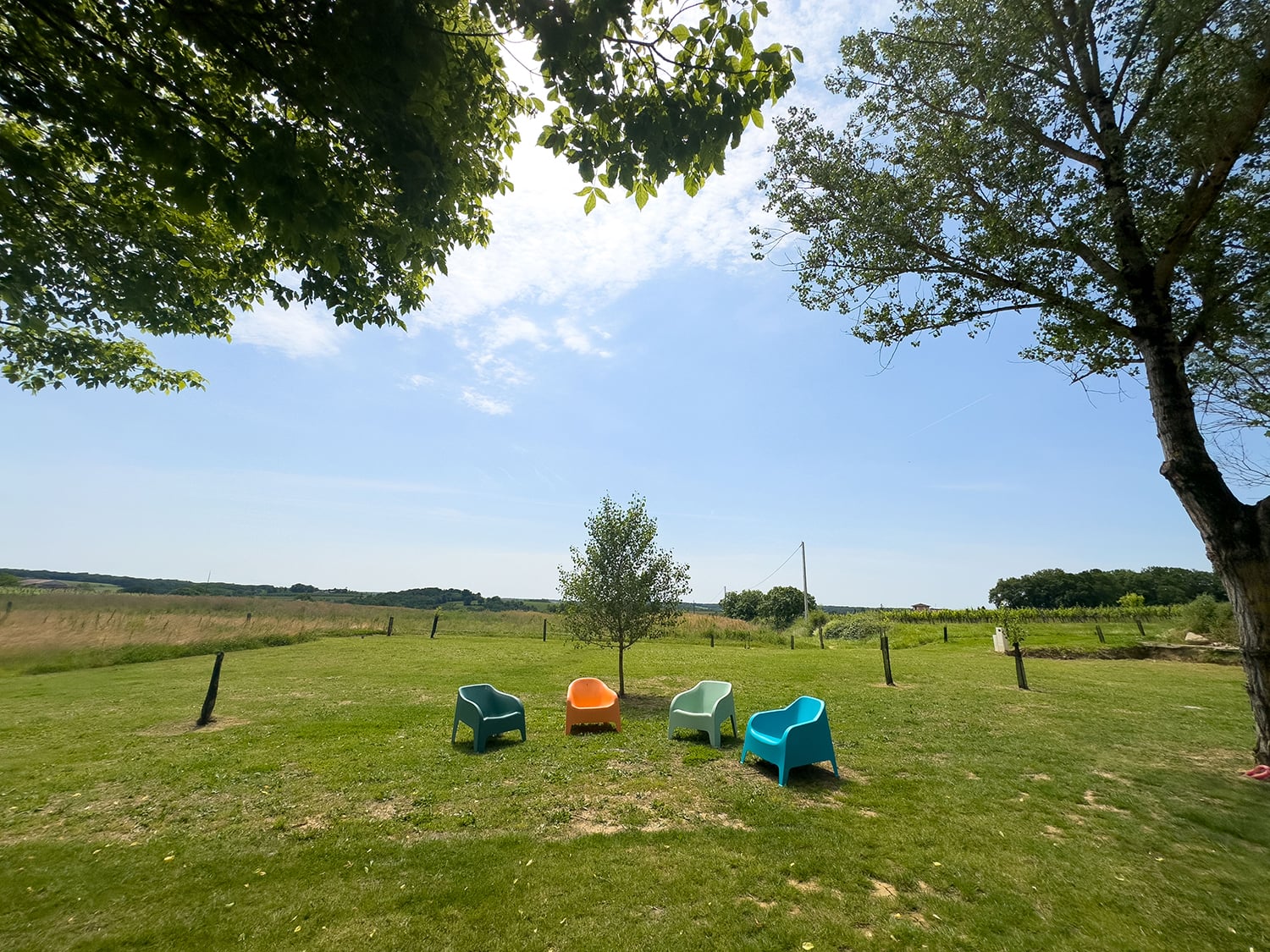 Lawned garden