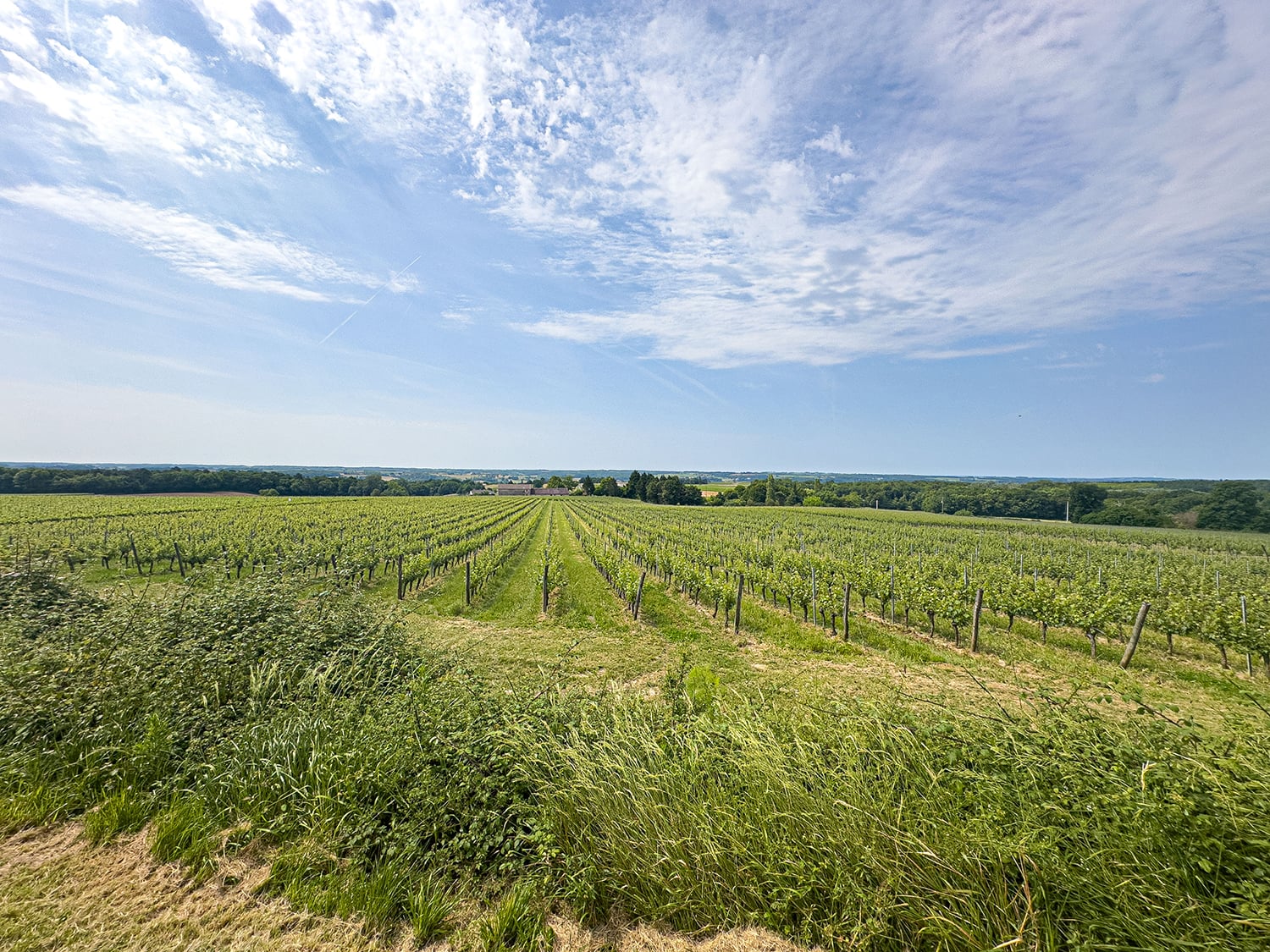 Countryside view in Nouvelle-Aquitaine